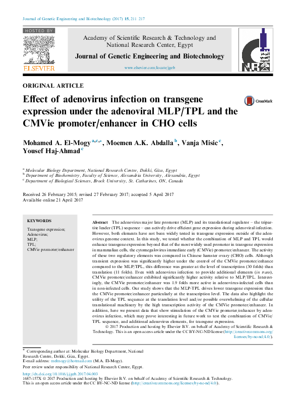 (PDF) Effect of adenovirus infection on transgene expression under the ...