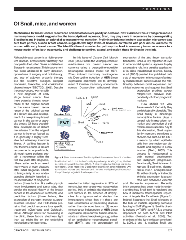 (PDF) Of Snail, mice, and women