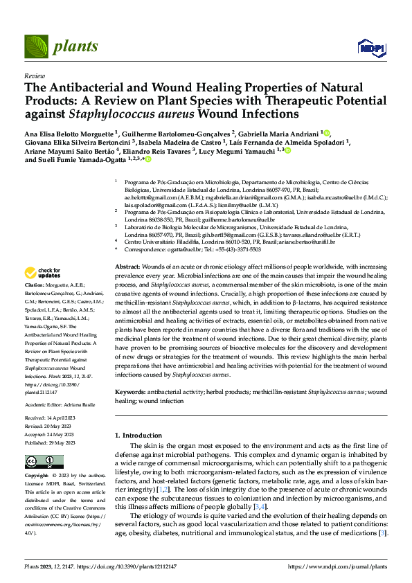 (PDF) The Antibacterial and Wound Healing Properties of Natural ...