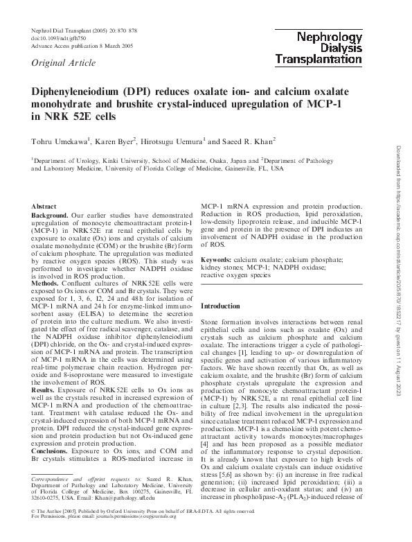 (PDF) Diphenyleneiodium (DPI) reduces oxalate ion- and calcium oxalate ...
