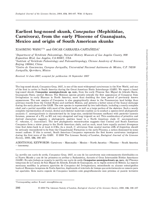 (PDF) Earliest hog-nosed skunk,Conepatus(Mephitidae, Carnivora), from ...