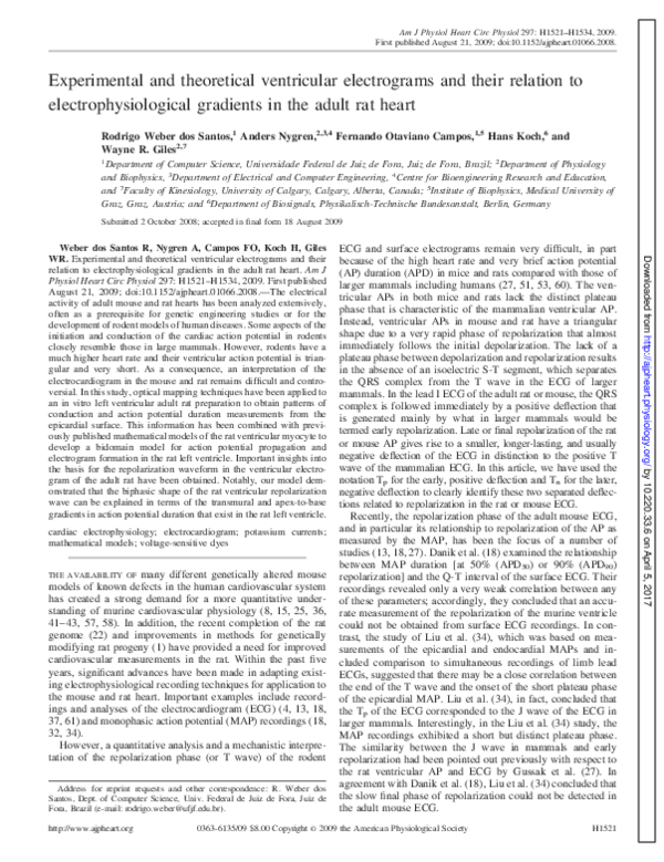 (PDF) Experimental and theoretical ventricular electrograms and their ...