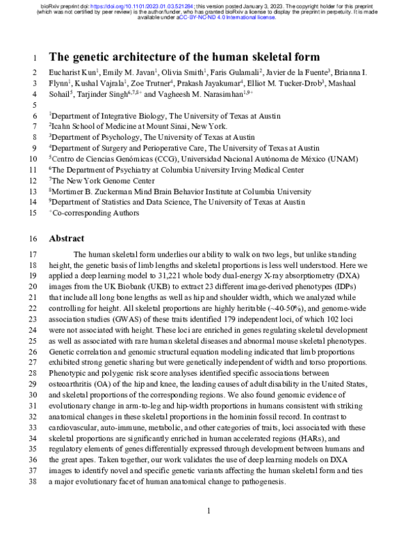 (PDF) The genetic architecture of the human skeletal form