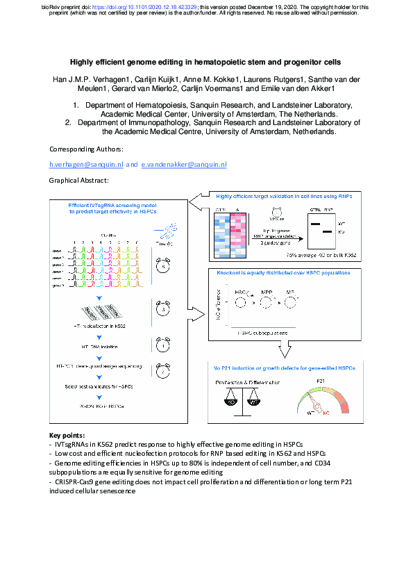 (PDF) Highly efficient genome editing in hematopoietic stem and ...