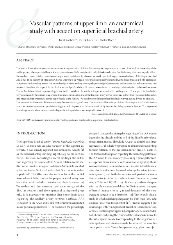 (PDF) Vascular patterns of upper limb: an anatomical study with accent ...