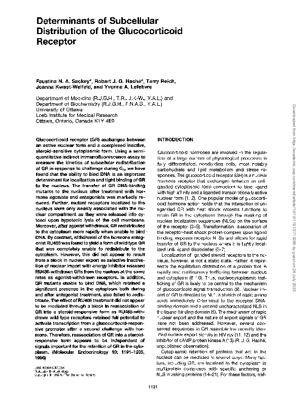 (PDF) Determinants of subcellular distribution of the glucocorticoid ...
