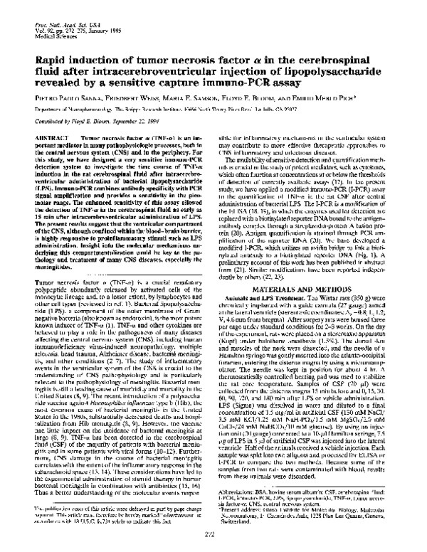 (PDF) Rapid induction of tumor necrosis factor alpha in the ...