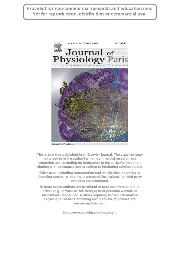 (PDF) From physiological principles to computational models of the cortex