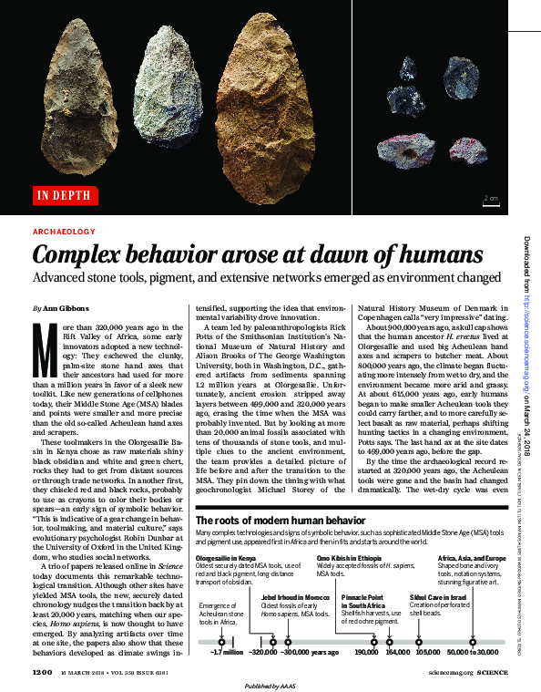 (PDF) Complex behavior arose at dawn of humans