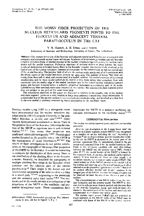 (PDF) The mossy fiber projection of the nucleus reticularis tegmenti ...