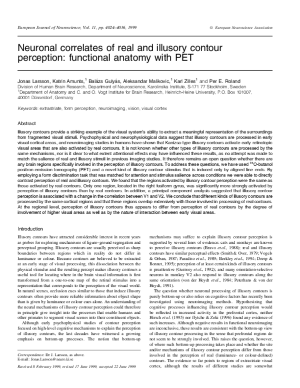 (PDF) Neuronal correlates of real and illusory contour perception ...