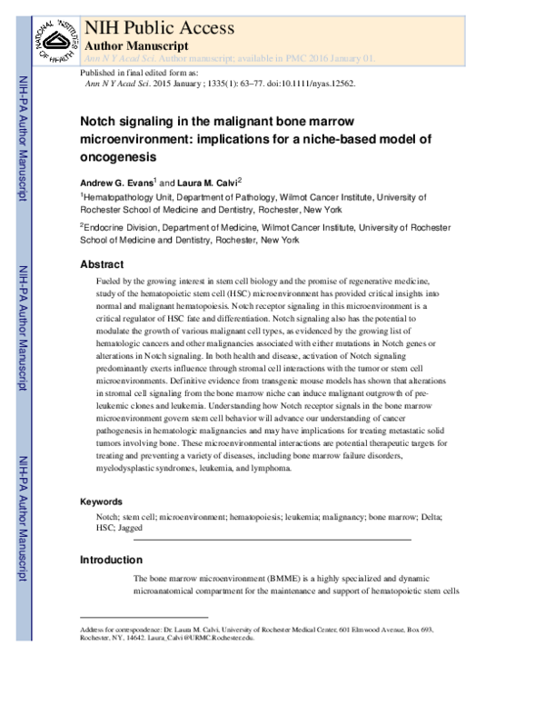 (PDF) Notch signaling in the malignant bone marrow microenvironment ...