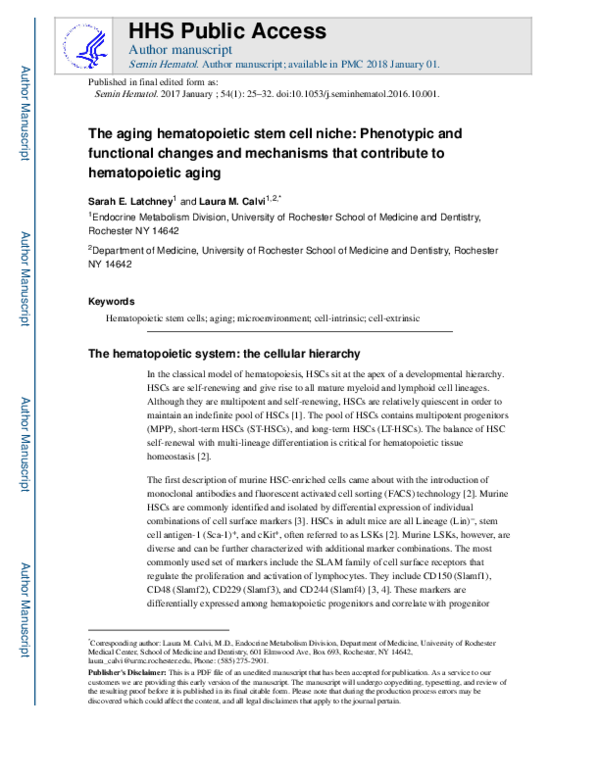 (PDF) The aging hematopoietic stem cell niche: Phenotypic and ...