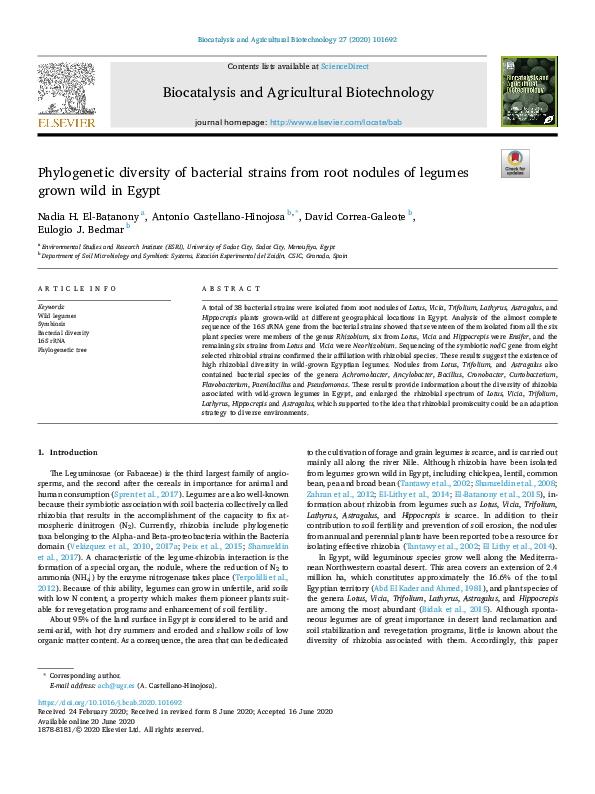 (PDF) Phylogenetic diversity of bacterial strains from root nodules of ...