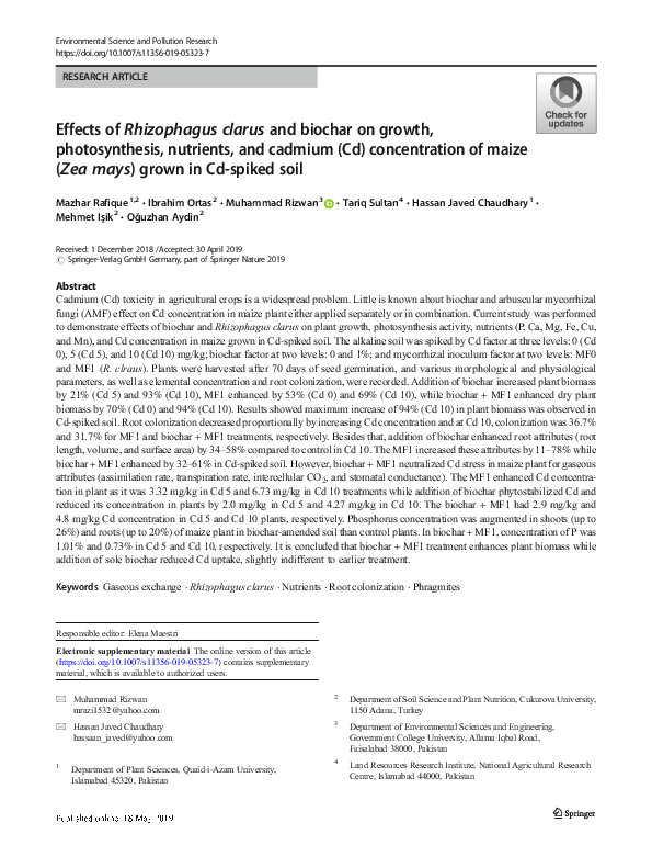 (PDF) Effects of Rhizophagus clarus and biochar on growth ...