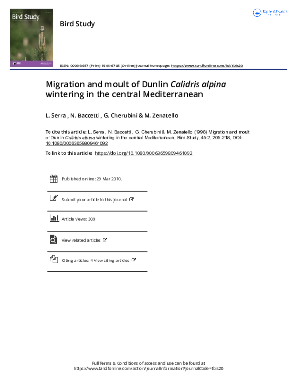 (PDF) Migration and moult of Dunlin Calidris alpina wintering in the ...
