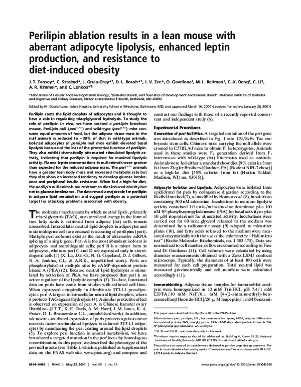 (PDF) Perilipin ablation results in a lean mouse with aberrant ...
