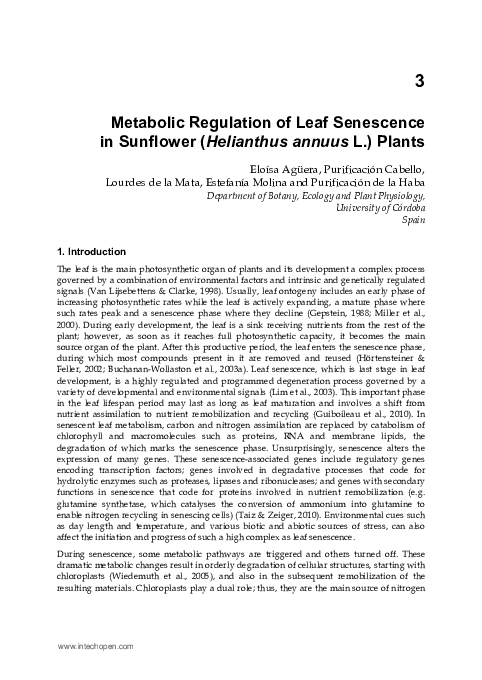 (PDF) Metabolic Regulation of Leaf Senescence in Sunflower (Helianthus ...