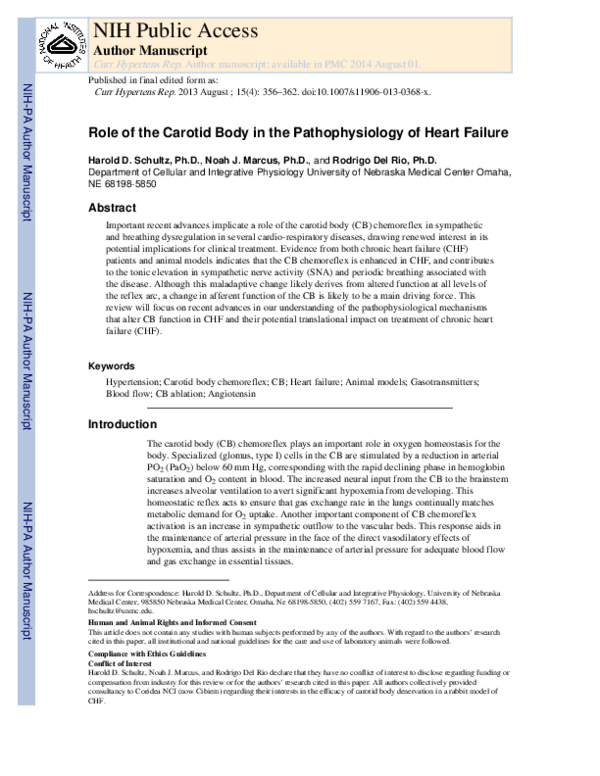 (PDF) Role of the Carotid Body in the Pathophysiology of Heart Failure