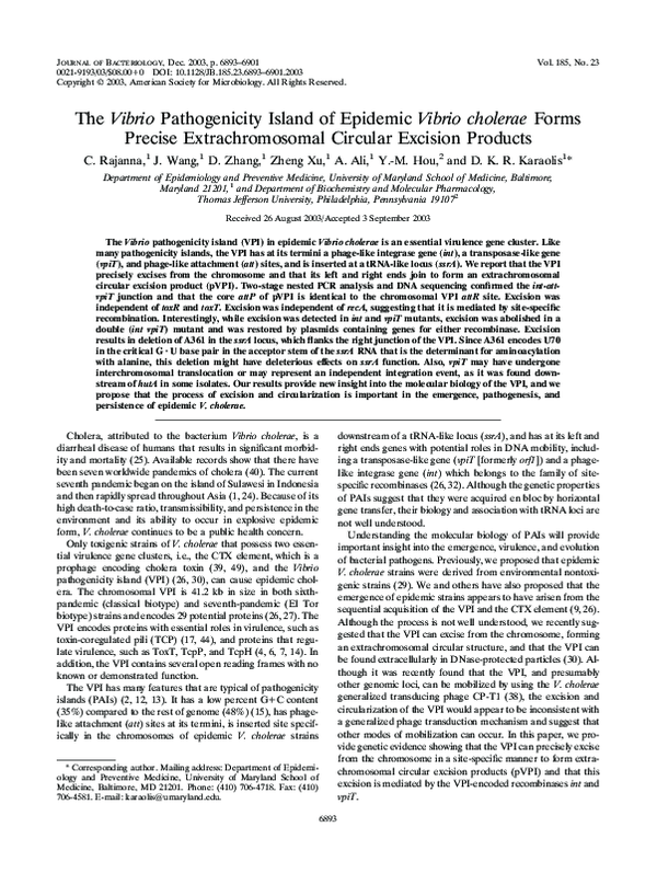 (PDF) The Vibrio Pathogenicity Island of Epidemic Vibrio cholerae Forms ...