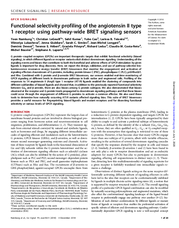 (PDF) Functional selectivity profiling of the angiotensin II type 1 ...