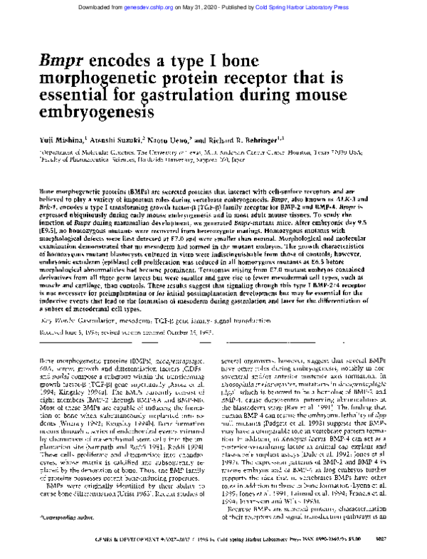 (PDF) Bmpr encodes a type I bone morphogenetic protein receptor that is ...