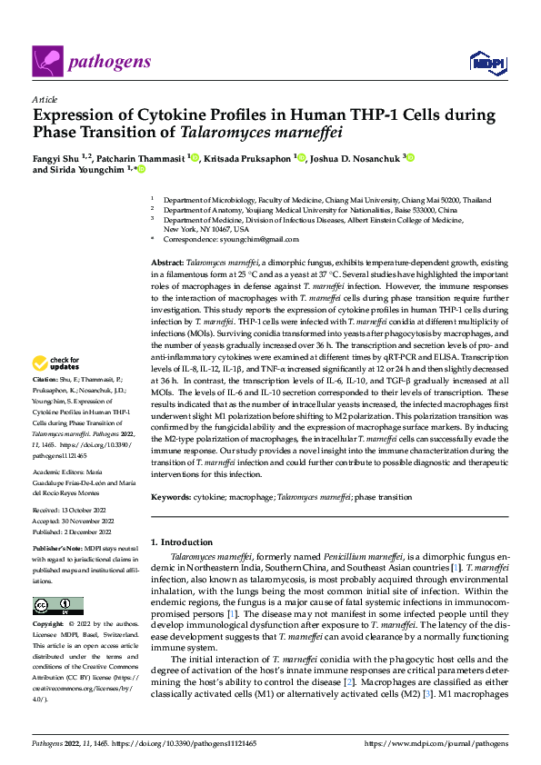 Expression of Cytokine Profiles in Human THP-1 Cells during Phase Transition of Talaromyces marneffei