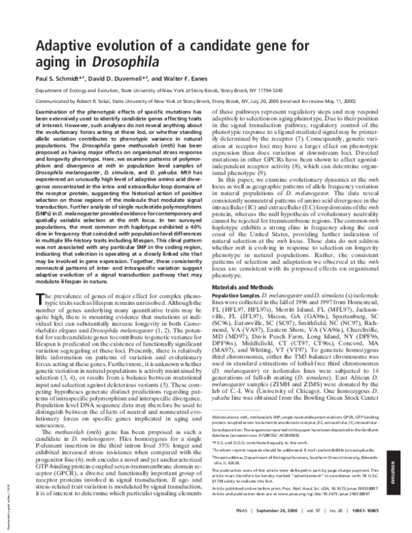 (PDF) Adaptive evolution of a candidate gene for aging in Drosophila