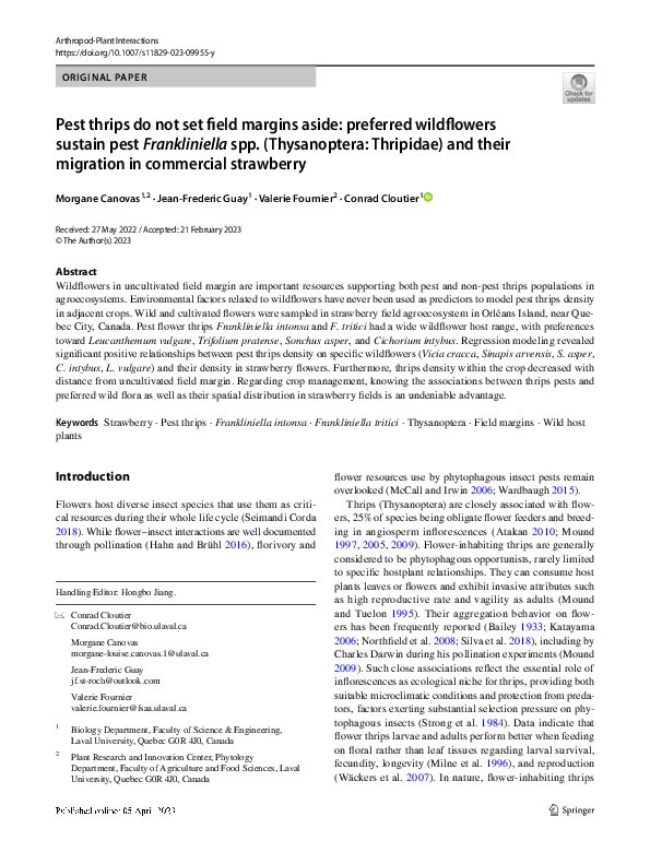 Pest thrips do not set field margins aside: preferred wildflowers sustain pest Frankliniella spp. (Thysanoptera: Thripidae) and their migration in commercial strawberry