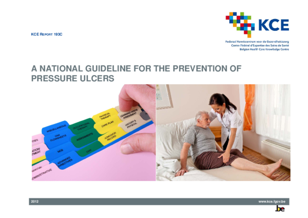 (PDF) A national guideline for the prevention of pressure ulcers