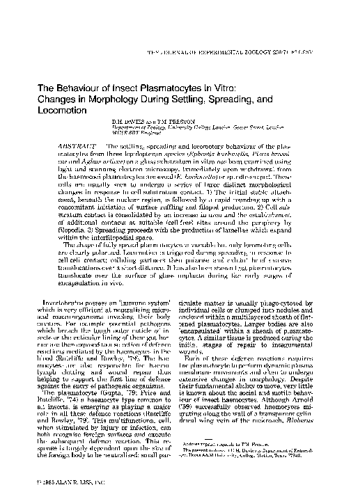 (PDF) The behaviour of insect plasmatocytes in vitro: Changes in ...
