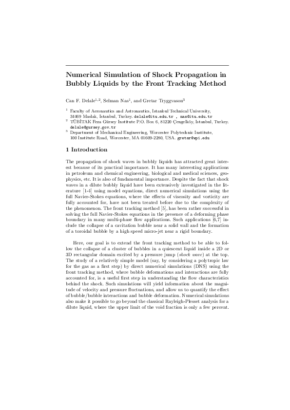 (PDF) Numerical Simulation of Shock Propagation in Bubbly Liquids by ...