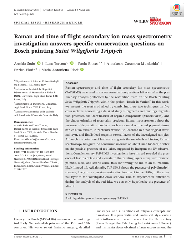 (PDF) Raman and time of flight secondary ion mass spectrometry ...