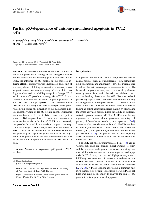 (PDF) Partial p53-dependence of anisomycin-induced apoptosis in PC12 cells