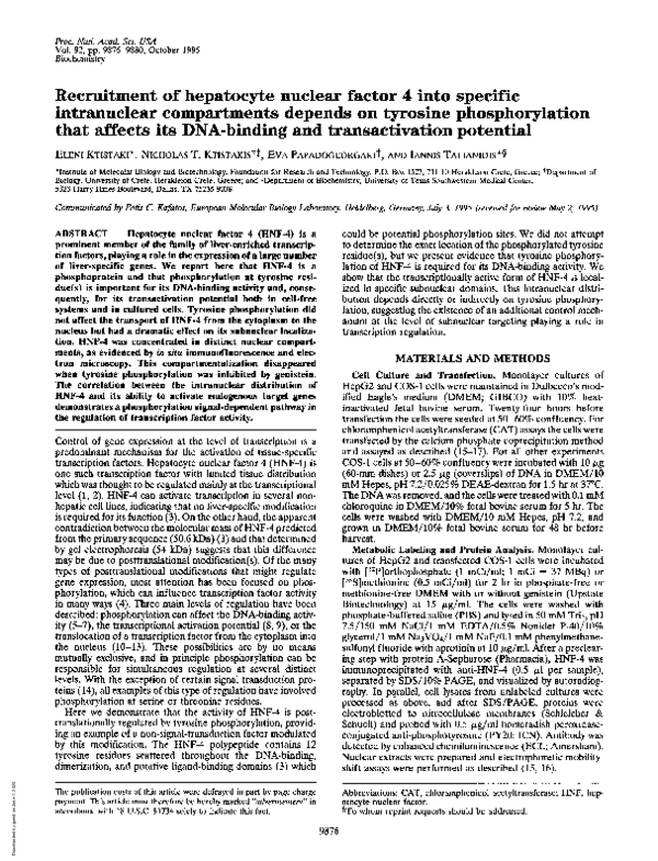 (PDF) Recruitment of hepatocyte nuclear factor 4 into specific ...