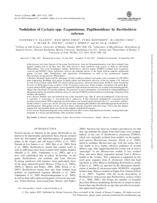 (PDF) Nodulation of Cyclopia spp. (Leguminosae, Papilionoideae) by ...