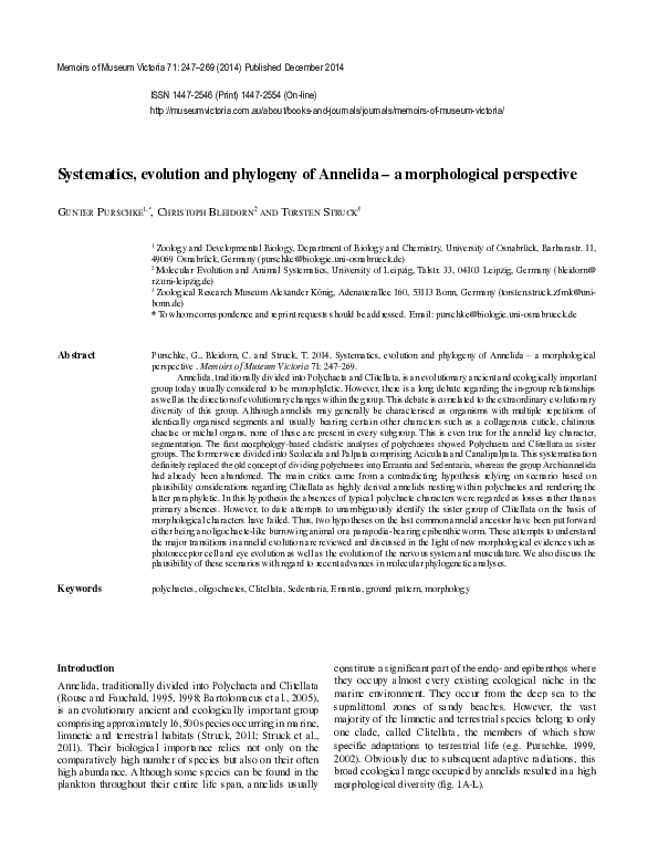 (PDF) Systematics, evolution and phylogeny of Annelida – a ...