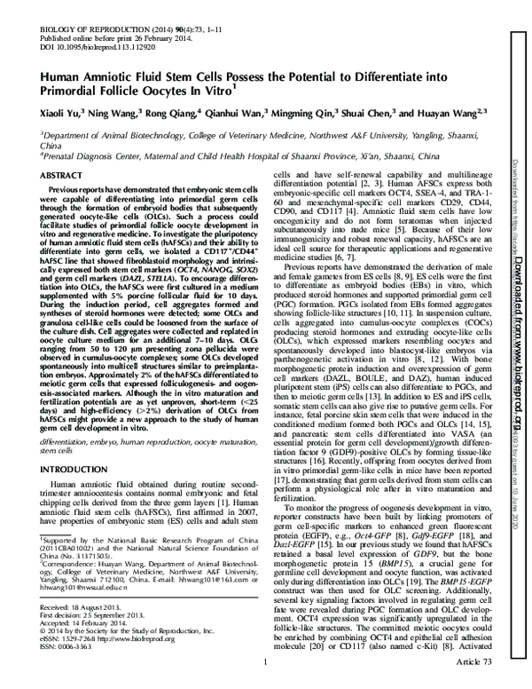 (PDF) Human Amniotic Fluid Stem Cells Possess the Potential to ...