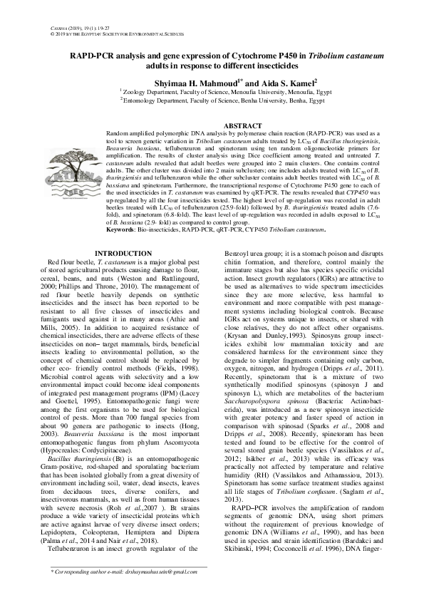 (PDF) RAPD-PCR analysis and gene expression of Cytochrome P450 in ...