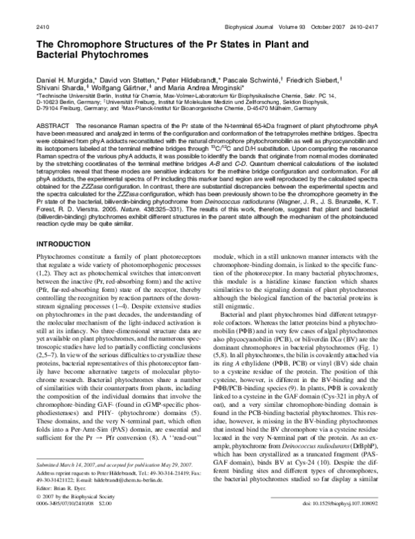 (PDF) The Chromophore Structures of the Pr States in Plant and ...