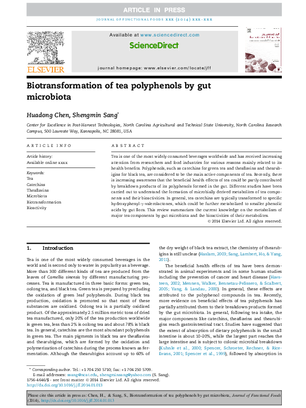 (PDF) Biotransformation of tea polyphenols by gut microbiota