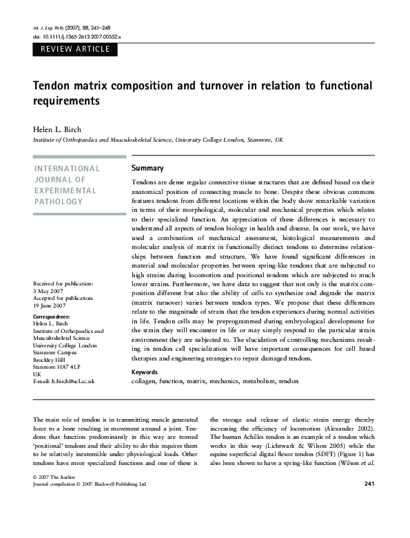 (PDF) Tendon matrix composition and turnover in relation to functional ...