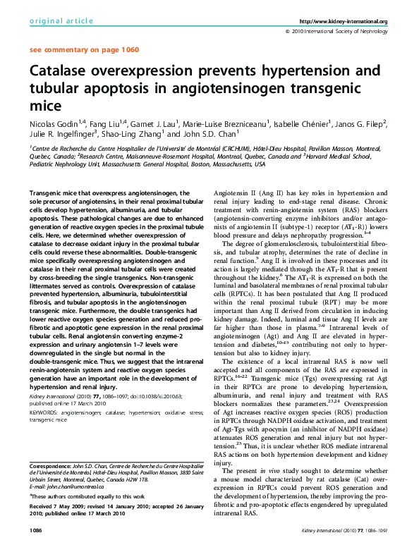 (PDF) Catalase overexpression prevents hypertension and tubular ...