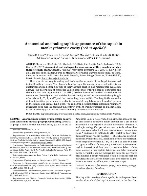 (PDF) Anatomical and radiographic appearance of the capuchin monkey ...