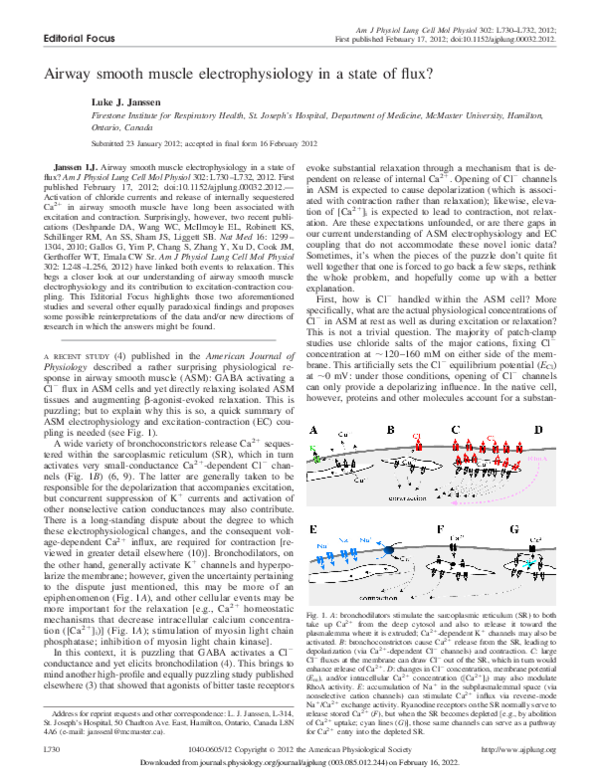 (PDF) Airway smooth muscle electrophysiology in a state of flux?