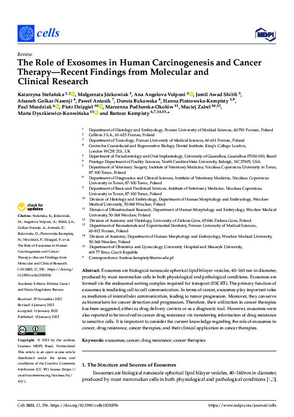 (PDF) The Role of Exosomes in Human Carcinogenesis and Cancer Therapy ...