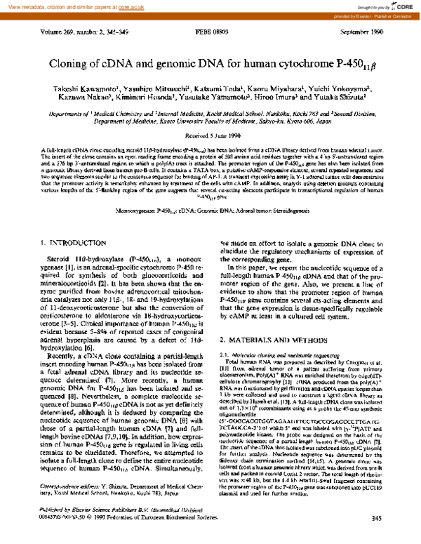 (PDF) Cloning of cDNA and genomic DNA for human cytochrome P-45011β