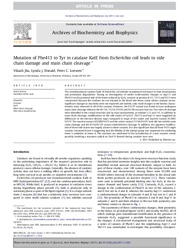 (PDF) Mutation of Phe413 to Tyr in catalase KatE from Escherichia coli ...
