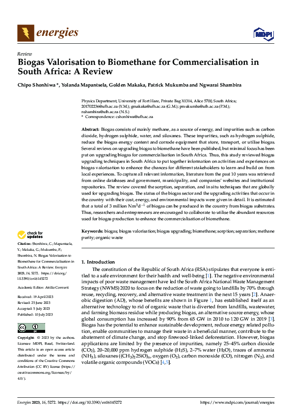 (PDF) Biogas Valorisation to Biomethane for Commercialisation in South ...