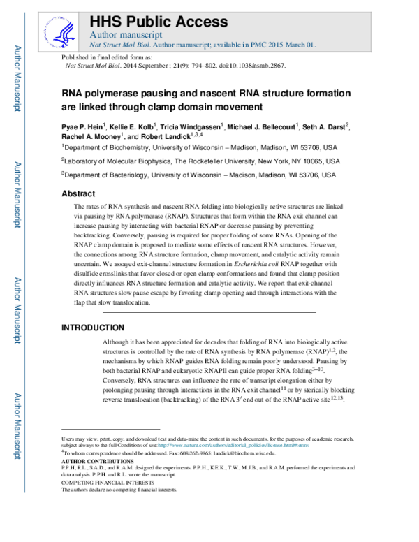 (PDF) RNA polymerase pausing and nascent-RNA structure formation are ...